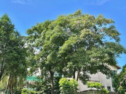 Jervois Mansion (D10), Apartment #449077701